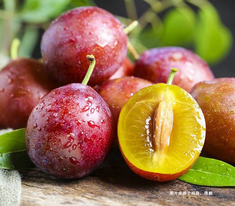 天津進(jìn)口智利西梅報關(guān)流程代理新鮮水果海運(yùn)案例