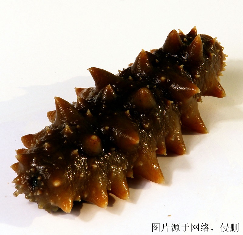 印度尼西亞進(jìn)口報關(guān)公司哪家好 印度尼西亞進(jìn)口報關(guān)公司哪家好