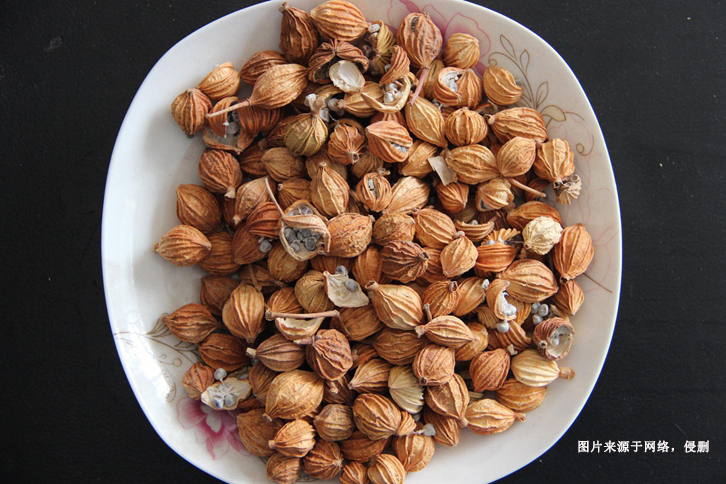 天津進口印尼白豆蔻報關(guān)流程 天津進口印尼白豆蔻報關(guān)流程