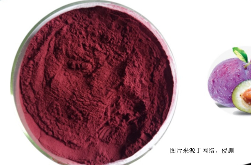 智利西梅果粉進(jìn)口報(bào)關(guān)資料 智利西梅果粉進(jìn)口報(bào)關(guān)資料