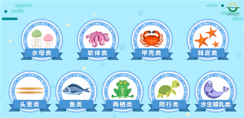 1572311861173281.png 冷凍水產品進口報關