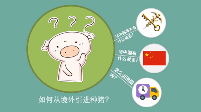 1585790853440189.png 豬肉進口清關(guān)