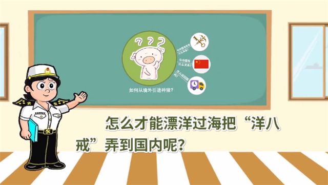 1585790865671345.png 冷凍豬肉進口報關(guān)