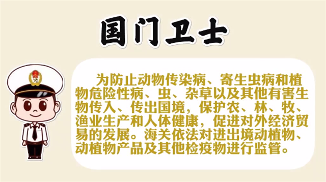 1585790899832991.png 進口豬肉清關(guān)代理