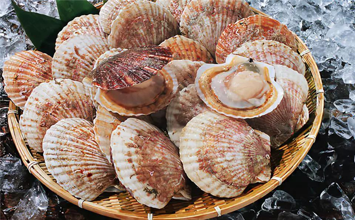 菲律賓扇貝進(jìn)口報(bào)關(guān)代理公司 菲律賓扇貝進(jìn)口報(bào)關(guān)