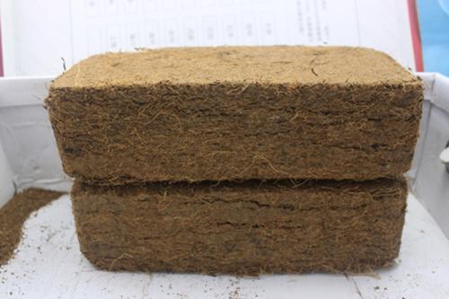 1606017911294364.jpg 椰糠磚進口報關