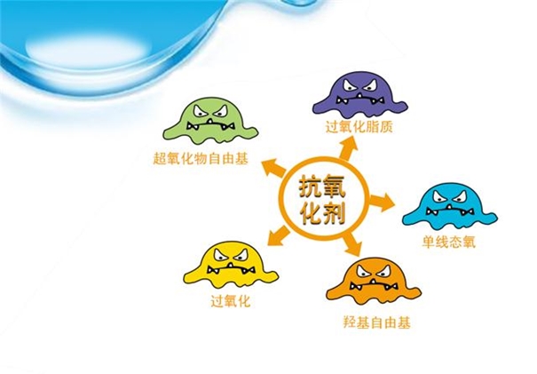 抗氧化劑進口報關(guān)流程手續(xù)經(jīng)驗豐富 抗氧化劑進口報關(guān)_副本.jpg