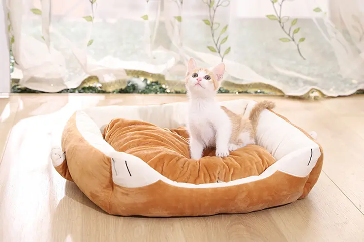 1647855894754245.png 歐洲寵物用品進(jìn)口報關(guān)_副本.png