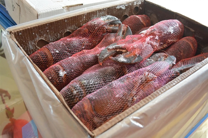 1651224613762989.jpg 進(jìn)口肯尼亞野生水產(chǎn)品報關(guān).jpg