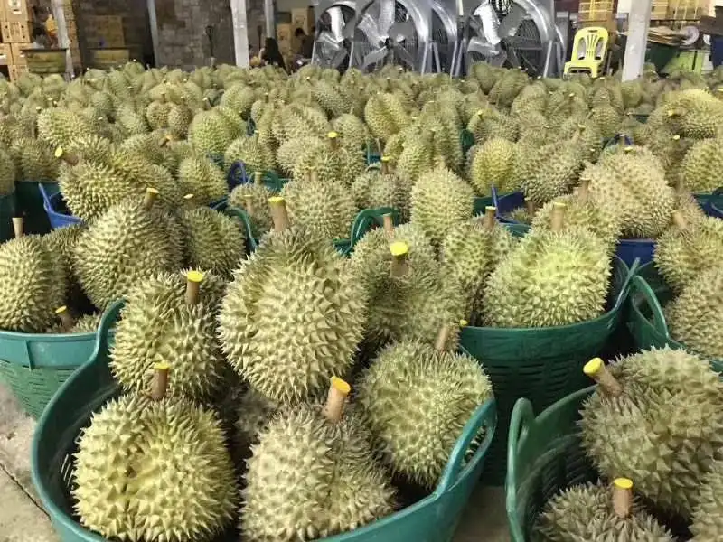 1654684438321418.png 泰國(guó)榴蓮進(jìn)口關(guān)稅.png