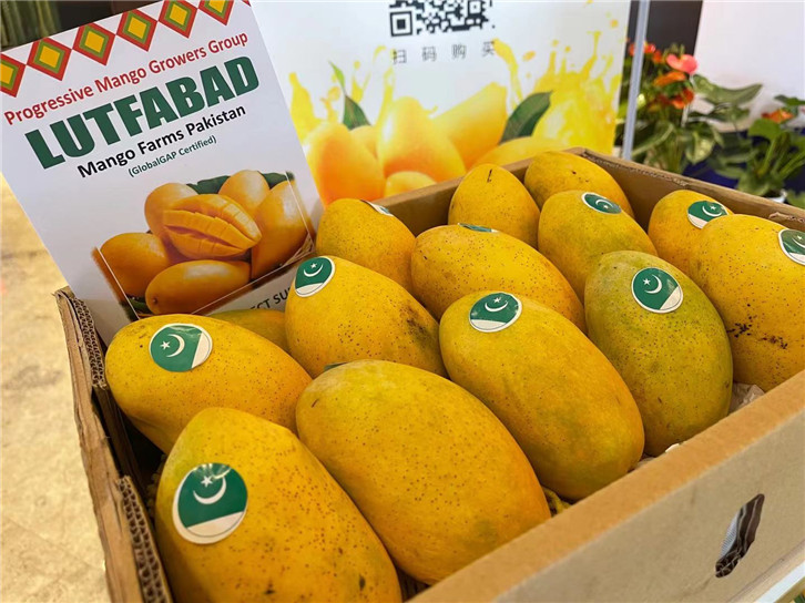 1655980302555976.jpg 進口菲律賓芒果報關公司.jpg