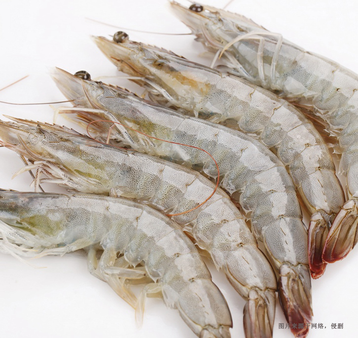 越南冷凍南美白對蝦進口清關資料 越南冷凍南美白對蝦進口清關資料