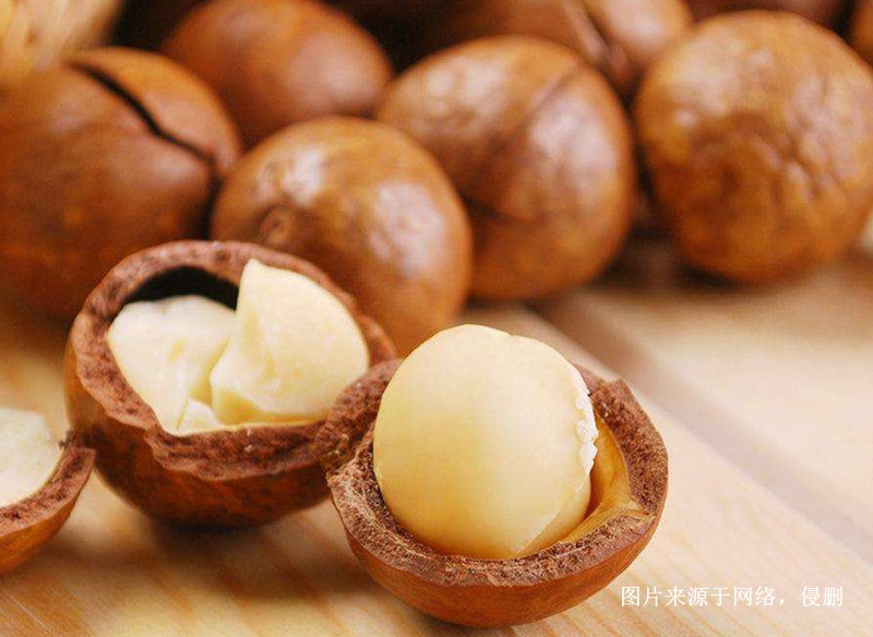 越南夏威夷果仁進口報關資料 越南夏威夷果仁進口報關資料